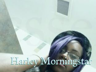 Harley_Morningstar