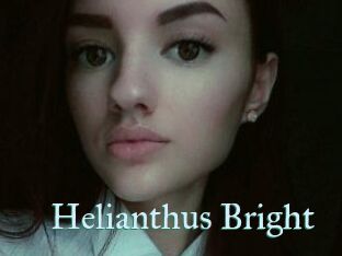 Helianthus_Bright