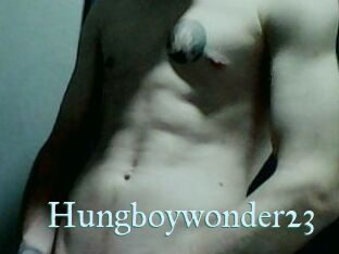 Hungboywonder23