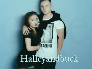 Halleyandbuck