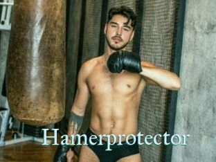 Hamerprotector