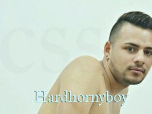 Hardhornyboy