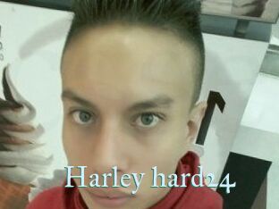 Harley_hard24