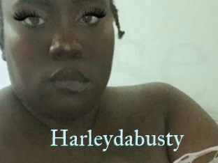 Harleydabusty