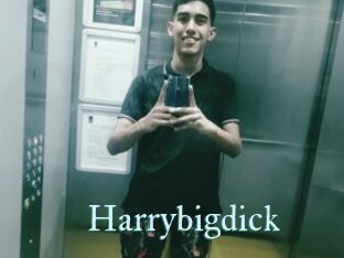 Harrybigdick