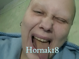 Hornak18