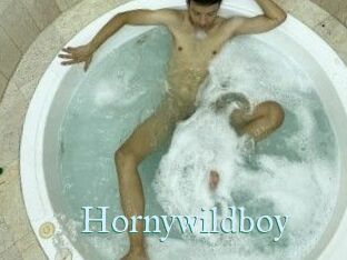 Hornywildboy