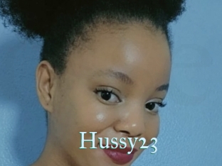 Hussy23