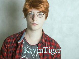 KevinTiger