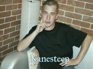 Kanesteep