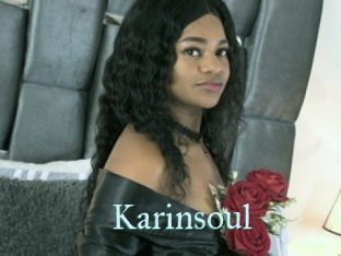 Karinsoul