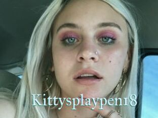 Kittysplaypen18