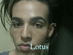 Lotus