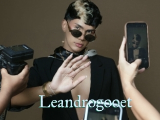 Leandrogooet