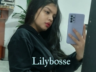 Lilybosse