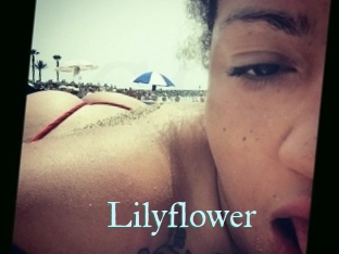 Lilyflower