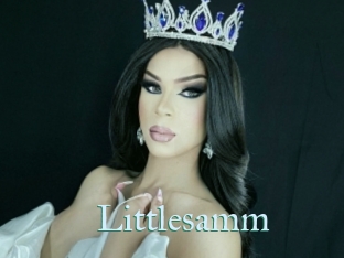 Littlesamm