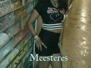 Meesteres