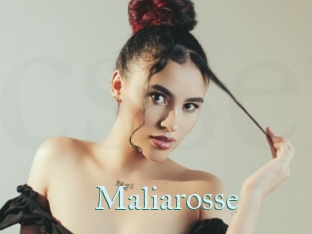 Maliarosse