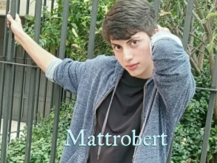 Mattrobert