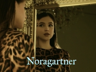 Noragartner