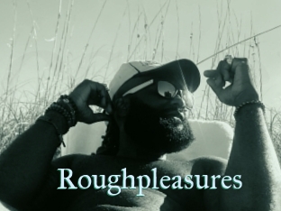 Roughpleasures