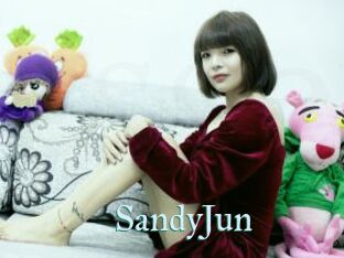 SandyJun