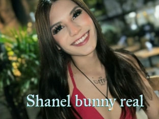 Shanel_bunny_real