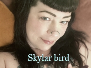 Skylar_bird