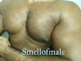 Smellofmale