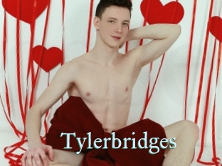 Tylerbridges