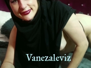 Vanezaleviz