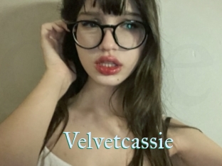 Velvetcassie