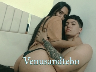 Venusandtebo