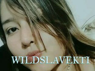 WILDSLAVEKTI