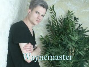 Waynemaster