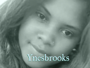 Ynesbrooks